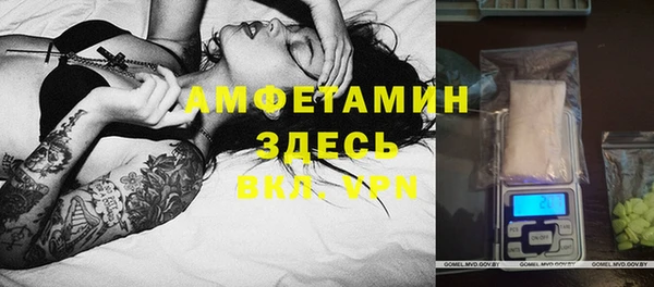 соль ск Дмитриев