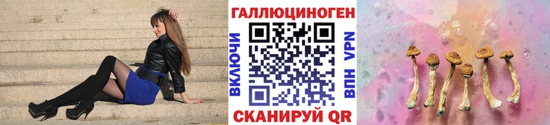 продажа наркотиков  Каменногорск  Псилоцибиновые грибы Cubensis 